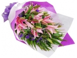 Elegant Lilies