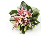 Oriental Lilies