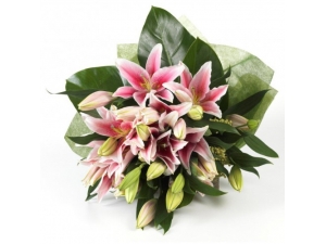 Oriental Lilies