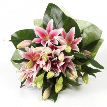 Oriental Lilies