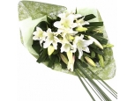 White Lilies