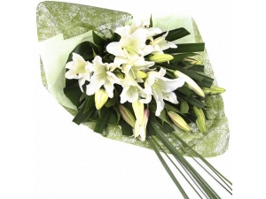 White Lilies