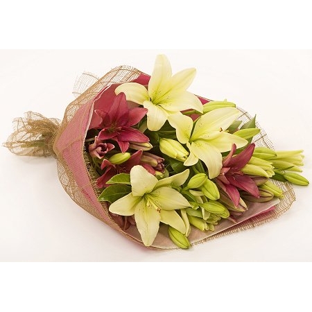 Mixed Lilies