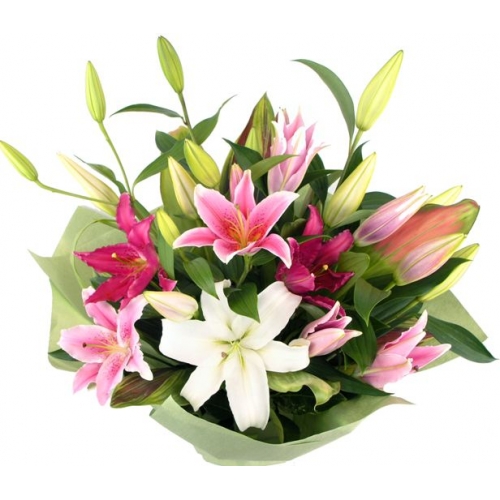 Three Colours Lily