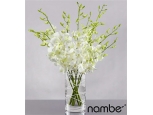 Distant Dreams Orchid - 10 Stems Vase