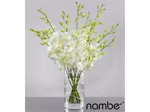 Distant Dreams Orchid - 10 Stems Vase