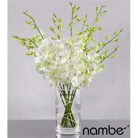 Distant Dreams Orchid - 10 Stems Vase