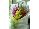 Assorted Orchid - 30 Stems Bouquet
