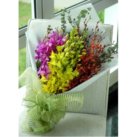 Assorted Orchid - 30 Stems Bouquet