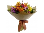 Assorted Orchids - 12 Stems