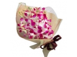 Pacificana - 12 Stems