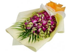 Elegant Orchid 12 Stems