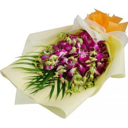 Elegant Orchid 12 Stems