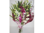Exotic Orchid 12 Stems