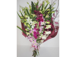 Exotic Orchid 12 Stems