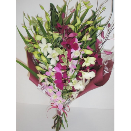 Exotic Orchid 12 Stems