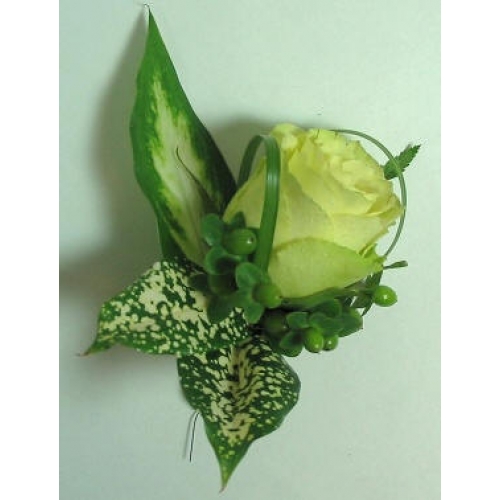 Absolutely Yours - 1 Stem Bouquet
