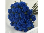 24 Stems Blue Roses