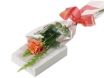 Pretty Peach - 1 Stem Bouquet