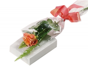 Pretty Peach - 1 Stem Bouquet