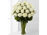 The Spirited Grace - 24 Stems In Vase