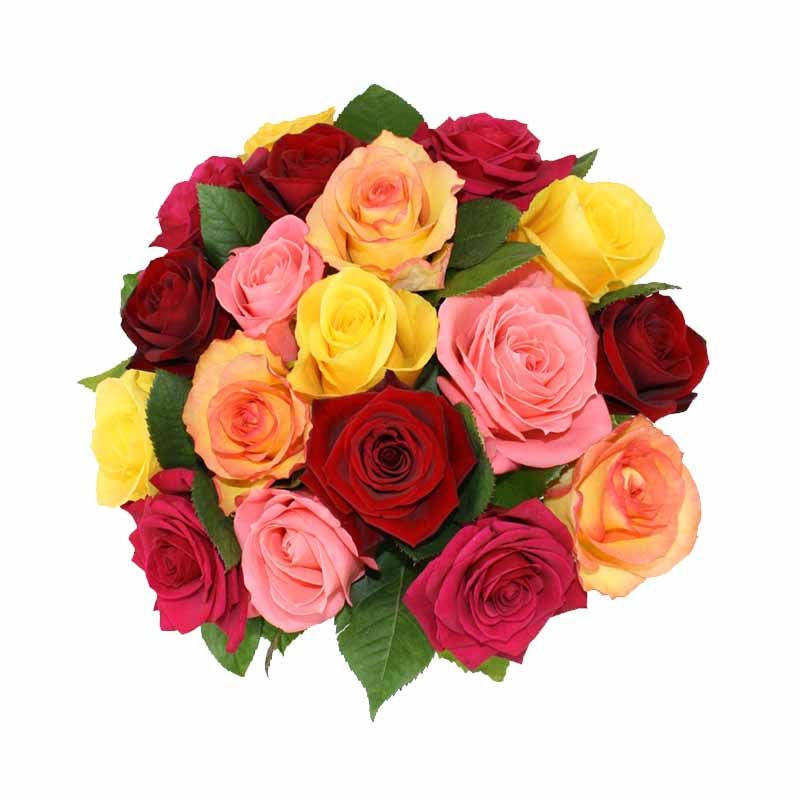 Mixed Color Roses