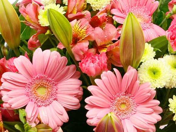 Roses With Other Flowers