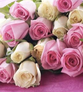 White and Pink