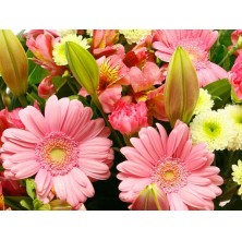 Roses with Other Flowers