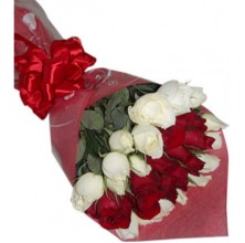 Red and White Roses