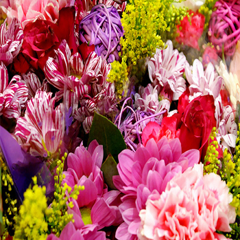 Mixed Seasonal Flowers